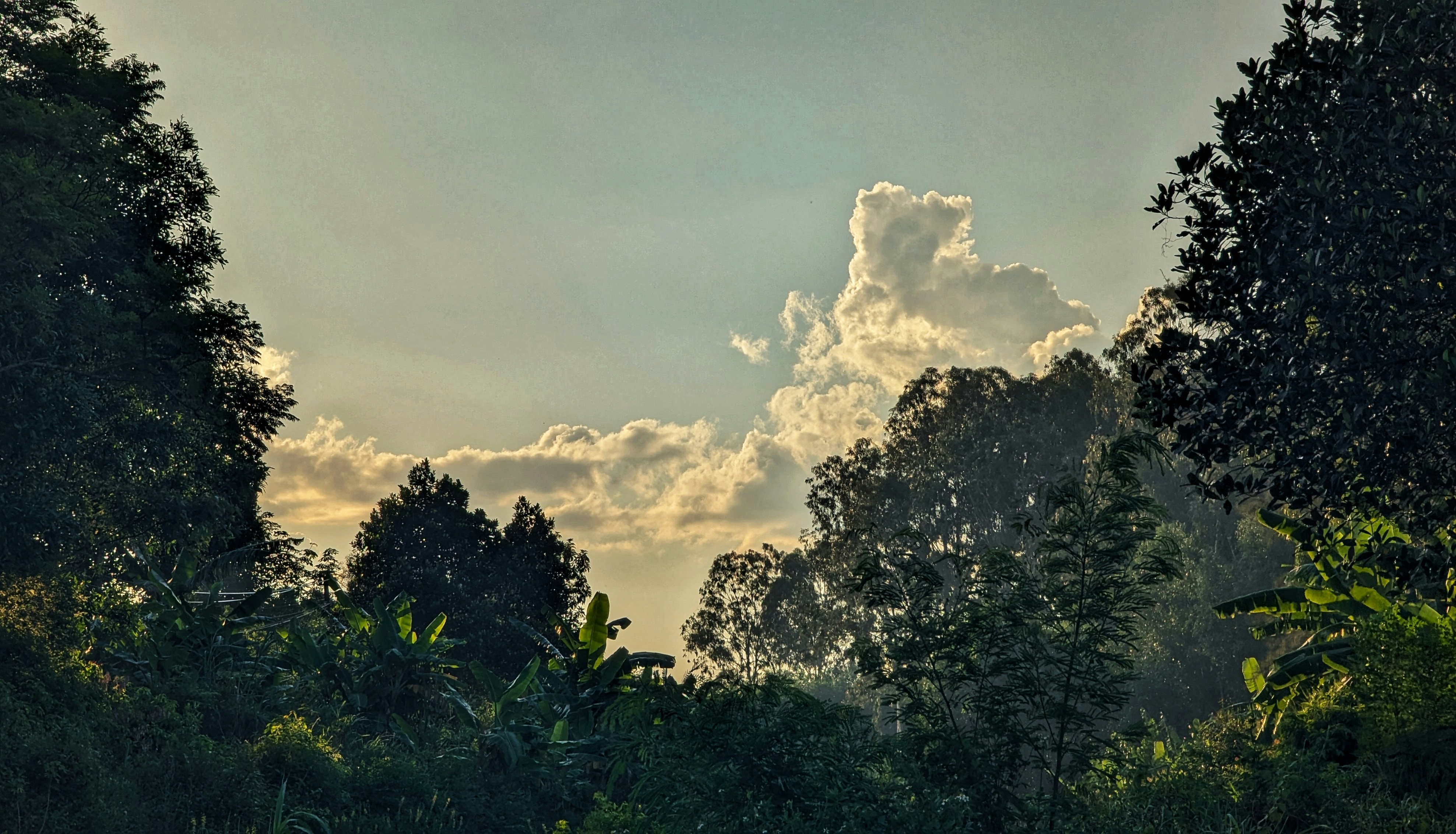 Background